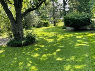 Kay C.'s grass maintenance service result