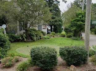 Erica G.'s turf care service result