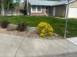 Anita S.'s lawn maintenance service result
