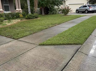 John S.'s grass cutting service result