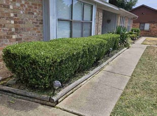 Chris M.'s Bush Trimming service result