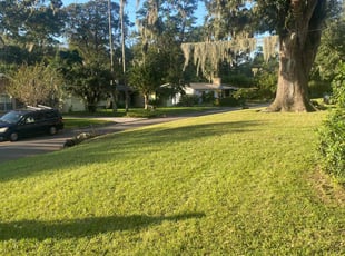 Mike N.'s lawn service service result