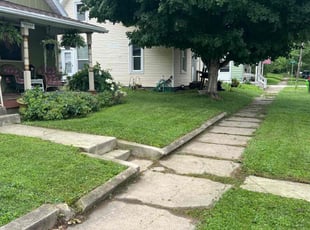 Taylor P.'s turf care service result