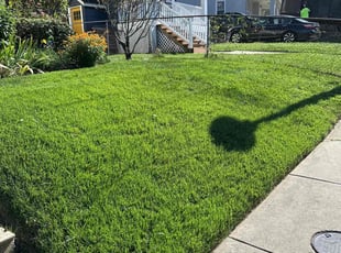 Terri R.'s lawn care services service result