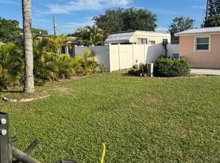 Michael B.'s turf care service result