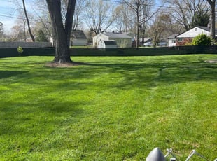 Mike C.'s lawn maintenance service result