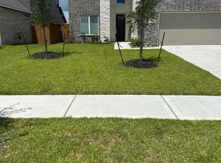Allison R.'s turf care service result