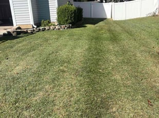 Rosalynn N.'s lawn care service result