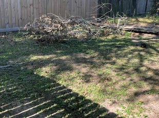 Floyd H.'s lawn care services service result