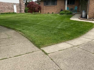 Mary O.'s grass cutting service result