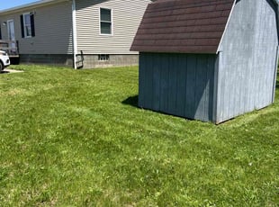 Amanda L.'s turf maintenance service result