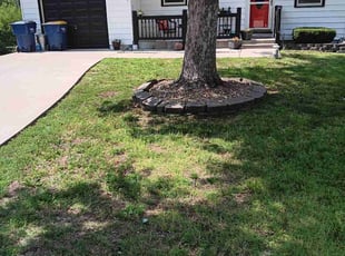 Tom W.'s turf care service result