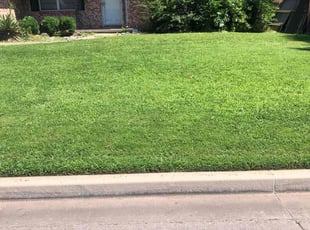 Christina T.'s grass maintenance service result