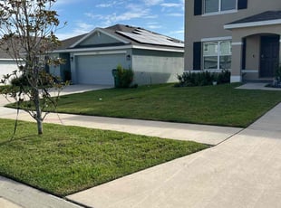 Krystal B.'s turf maintenance service result