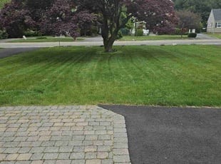 Terrance G.'s grass maintenance service result