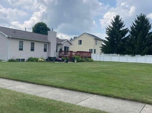 Jacey C.'s lawn maintenance service result