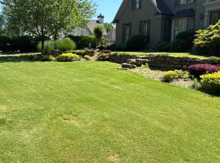 Roland S.'s turf care service result