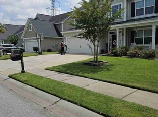 Angie B.'s lawn maintenance service result