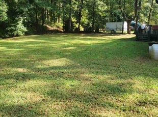 Don H.'s turf maintenance service result