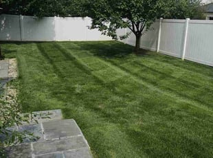Mike M.'s turf maintenance service result