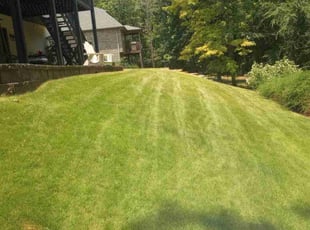 Kliff B.'s lawn maintenance service result