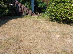 Guillamo S.'s lawn maintenance service result