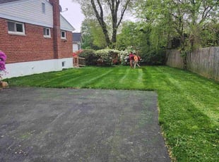Heather F.'s turf care service result