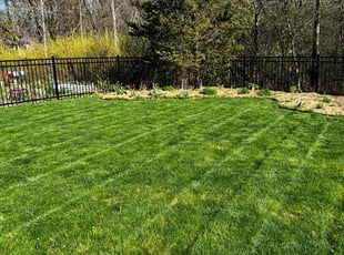 Fleciah M.'s lawn care service result