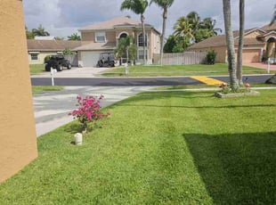 Chet H.'s turf care service result