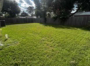 Sean G.'s grass maintenance service result