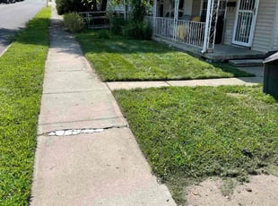 Diane M.'s lawn care service result