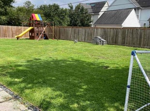 Iman S.'s grass cutting service result