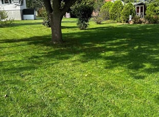 Eleanor P.'s lawn service service result
