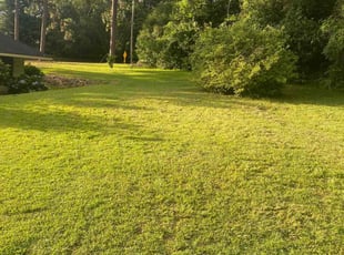 Ken S.'s lawn care service result