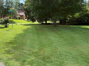David M.'s lawn service service result
