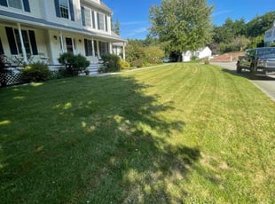 Brenda B.'s lawn care service result