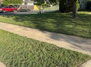 jennifer h.'s lawn service service result