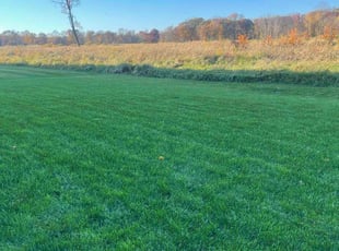 Linda P.'s grass cutting service result