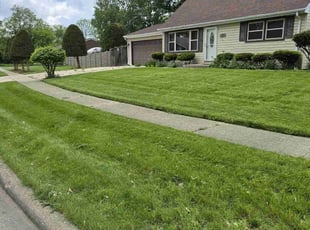 Rick R.'s Long Grass Cleanup service result