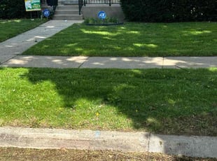 Georgina N.'s grass cutting service result