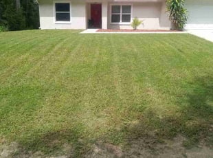 Claire M.'s lawn service service result