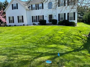 Carmen K.'s lawn maintenance service result