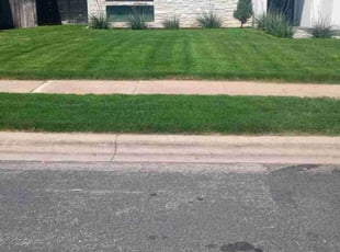 Ashley W.'s turf care service result