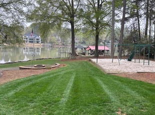 Briana S.'s lawn care service result