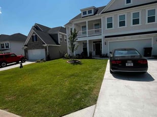 Sandee N.'s grass maintenance service result