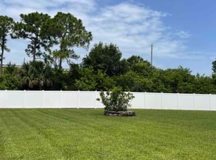 Aldenis G.'s grass maintenance service result