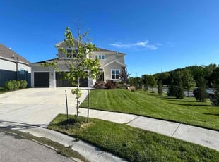 Dyan D.'s grass maintenance service result