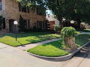 Marly C.'s turf care service result