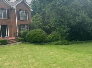 Adam R.'s lawn maintenance service result