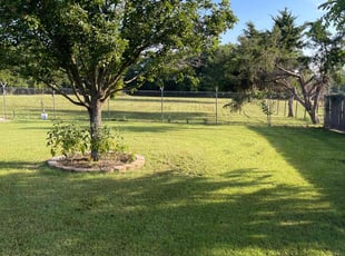 Valerie C.'s turf maintenance service result